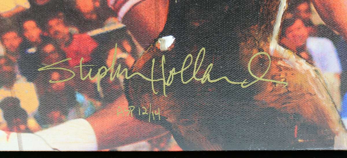 
Bulls Michael Jordan Signed & Framed 27x41 Canvas Holland AS Proof #12/14 UDA