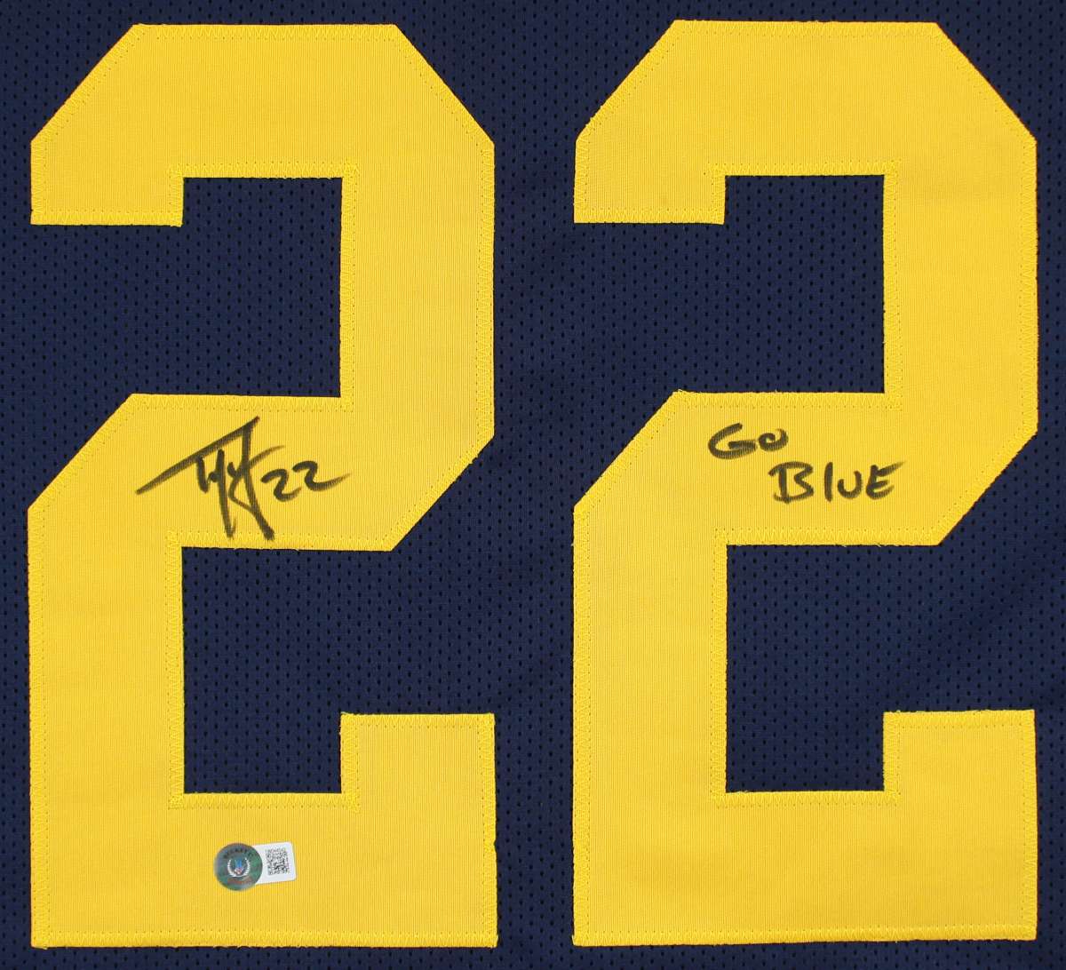 
Michigan Ty Law 